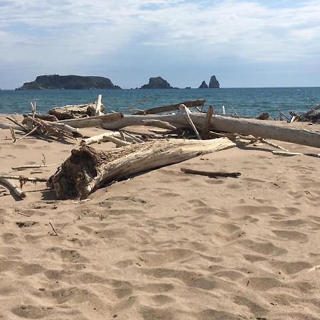 Apartamento Costa Brava レスタルティット エクステリア 写真